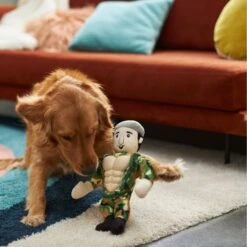 Frisco Retro Camo Hero Muscle Plush Squeaky Dog Toy -Frisco 230375 PT3. AC SS1800 V1602639726