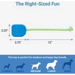 Frisco Retro PC Mouse Rubber Tug & Fetch Dog Toy 6 Frisco Retro PC Mouse Rubber Tug & Fetch Dog Toy -Frisco 230385 PT1. AC SS1800 V1599943590