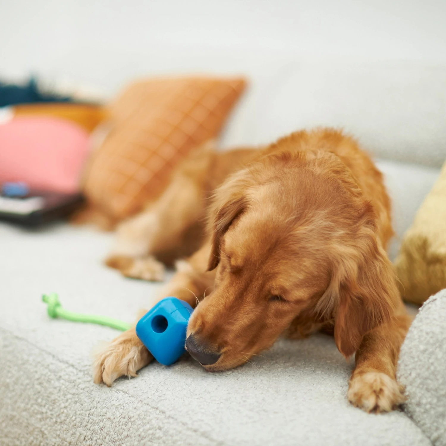 Frisco Retro PC Mouse Rubber Tug & Fetch Dog Toy 5 Frisco Retro PC Mouse Rubber Tug & Fetch Dog Toy - Image 3