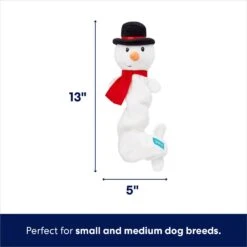 Frisco Holiday Snowman Bungee Plush Squeaky Dog Toy 9 Frisco Holiday Snowman Bungee Plush Squeaky Dog Toy -Frisco 233221 PT1. AC SS1800 V1701797064