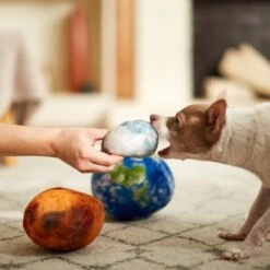 Frisco Earth, Mars, And Moon Plush Squeaky Dog Toy 7 Frisco Earth, Mars, And Moon Plush Squeaky Dog Toy -Frisco 233587 PT3. AC SS1800 V1600973771