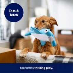 Frisco Hammerhead Shark Ballistic Nylon Plush Squeaky Dog Toy 12 Frisco Hammerhead Shark Ballistic Nylon Plush Squeaky Dog Toy -Frisco 233593 PT4. AC SS1800 V1695748352