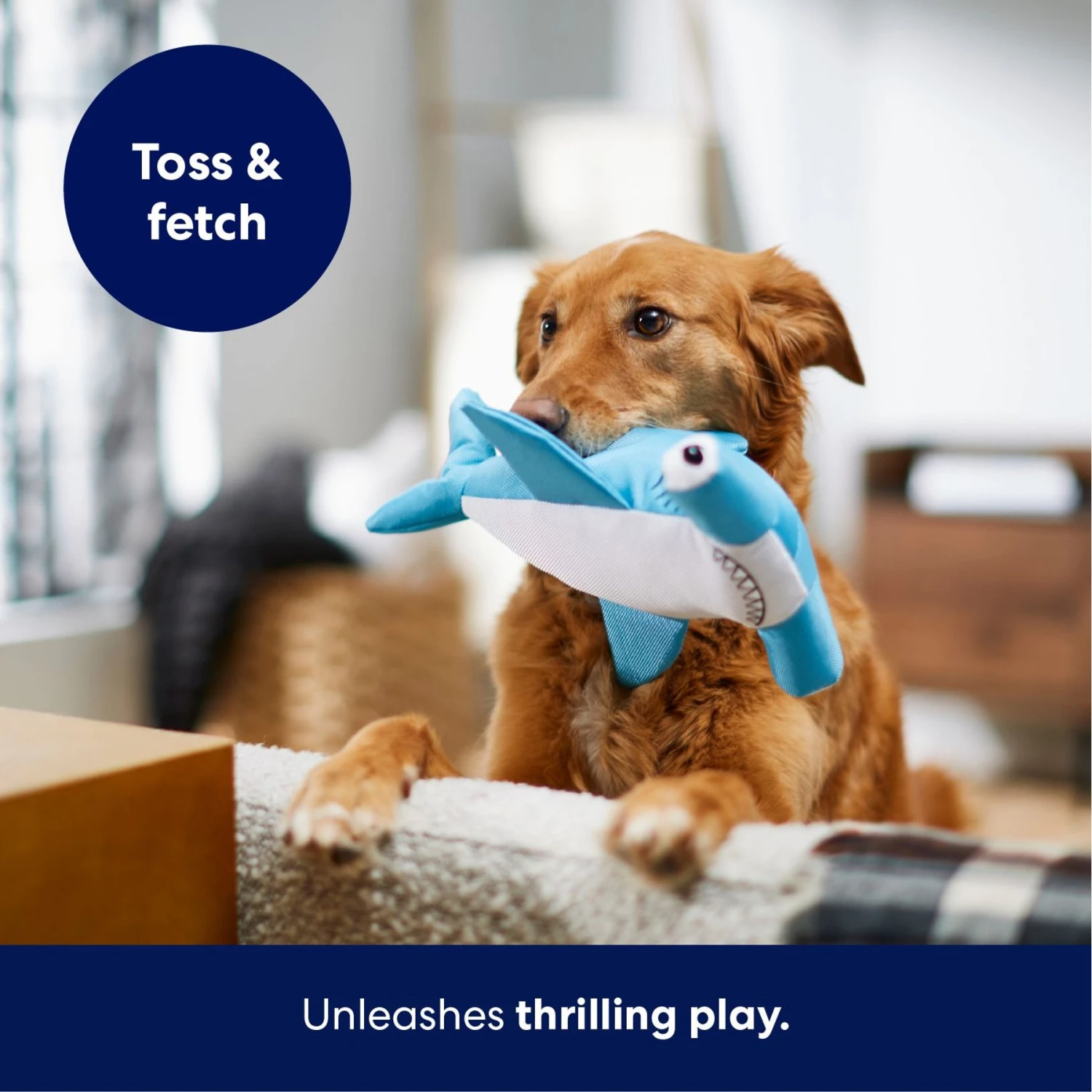 Frisco Hammerhead Shark Ballistic Nylon Plush Squeaky Dog Toy 7 Frisco Hammerhead Shark Ballistic Nylon Plush Squeaky Dog Toy - Image 5