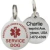 Frisco Service Personalized Dog ID Tag, Round Shape 1 Frisco Service Personalized Dog ID Tag, Round Shape -Frisco 233739 main. AC SS1800 V1588081905
