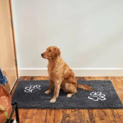 Frisco Microfiber Chenille Paw Print Doormat Runner 11 Frisco Microfiber Chenille Paw Print Doormat Runner -Frisco 235889 PT6. AC SS1800 V1606833151