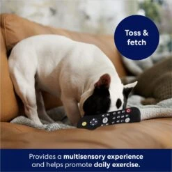 Frisco Zoomies & Chill Remote Latex Squeaky Dog Toy -Frisco 241753 PT6. AC SS1800 V1686580150