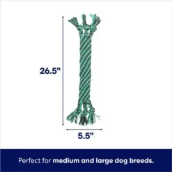 Frisco Flat Teal & Gray Braided Rope Squeaky Fetch Dog Toy 8 Frisco Flat Teal & Gray Braided Rope Squeaky Fetch Dog Toy -Frisco 242127 PT1. AC SS1800 V1695748353