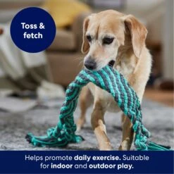 Frisco Flat Teal & Gray Braided Rope Squeaky Fetch Dog Toy 10 Frisco Flat Teal & Gray Braided Rope Squeaky Fetch Dog Toy -Frisco 242127 PT3. AC SS1800 V1695242179