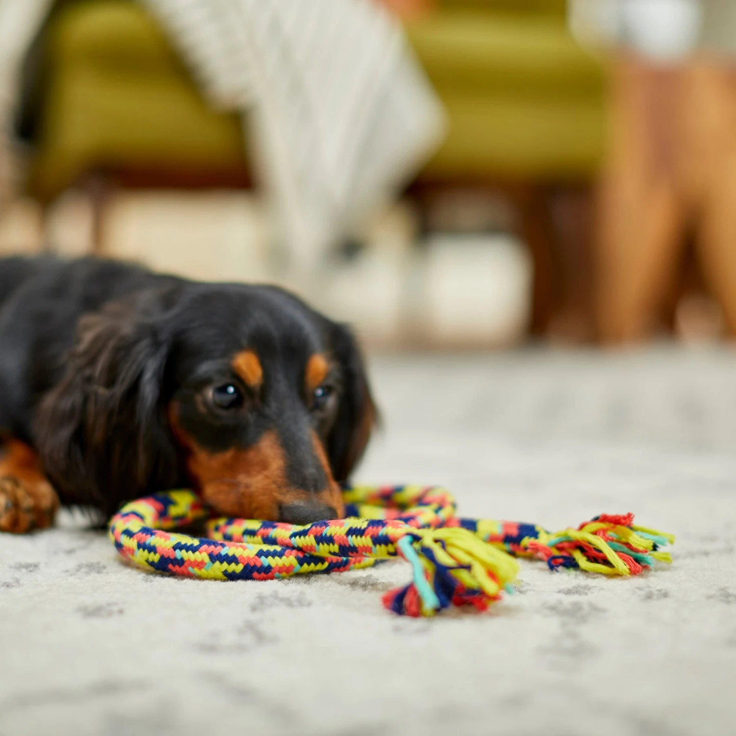 Frisco Pretzel Rope Dog Toy 5 Frisco Pretzel Rope Dog Toy - Image 3