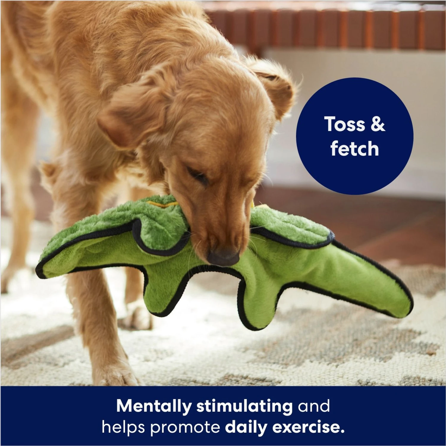 Frisco Alligator Stuffing-Free Flat Plush Squeaky Dog Toy 5 Frisco Alligator Stuffing-Free Flat Plush Squeaky Dog Toy - Image 3
