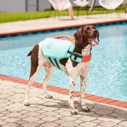 Frisco Active Dog Life Jacket 18 Frisco Active Dog Life Jacket -Frisco 247894 PT7. AC SS1800 V1616506092