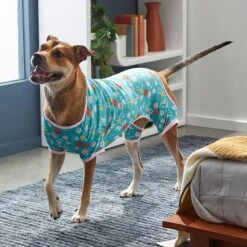 Frisco Teal Floral Dog & Cat Jersey PJs -Frisco 249132 PT7. AC SS1800 V1614376401