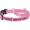Frisco Solid Nylon Personalized Martingale Dog Collar 1 Frisco Solid Nylon Personalized Martingale Dog Collar -Frisco 249561 MAIN. AC SS1800 V1699636209
