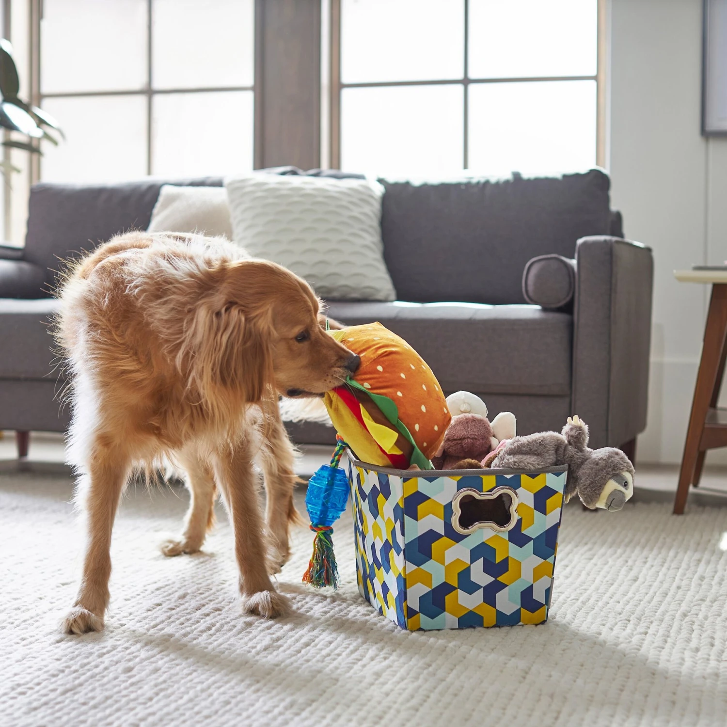Frisco Rectangle Collapsible Pet Toy Storage Bin, Yellow Geometric 5 Frisco Rectangle Collapsible Pet Toy Storage Bin, Yellow Geometric - Image 4
