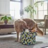 Frisco Round Collapsible Pet Toy Storage Bin, Yellow Geometric -Frisco 250587 MAIN. AC SS1800 V1615242941