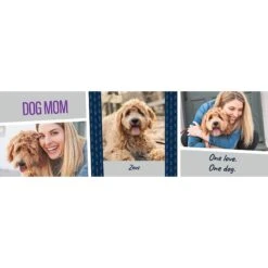 Frisco Double Walled "Dog Mom" Personalized Tumbler, 30-oz Cup -Frisco 250741 PT2. AC SS1800 V1602689509