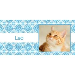 Frisco Double Walled Boho Damask Personalized Tumbler, 30-oz Cup -Frisco 250749 PT2. AC SS1800 V1606680445