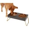 Frisco Copper Stainless Steel Elevated Foldable Double Dog & Cat Bowls 1 Frisco Copper Stainless Steel Elevated Foldable Double Dog & Cat Bowls -Frisco 253060 MAIN. AC SS1800 V1616073913