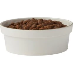Frisco Gold Trim Melamine Dog & Cat Bowl 14 Frisco Gold Trim Melamine Dog & Cat Bowl -Frisco 253062 PT3. AC SS1800 V1616595685