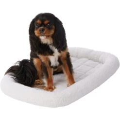 Frisco Fold & Carry Single Door Collapsible Wire Dog Crate & Frisco Quilted Dog Crate Mat -Frisco 255493 PT4. AC SS1800 V1603545111