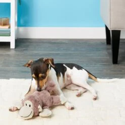 Frisco Monkey Plush Squeaky Dog Toy & Frisco Fox Plush Squeaky Dog Toy 9 Frisco Monkey Plush Squeaky Dog Toy & Frisco Fox Plush Squeaky Dog Toy -Frisco 255597 PT2. AC SS1800 V1602702685