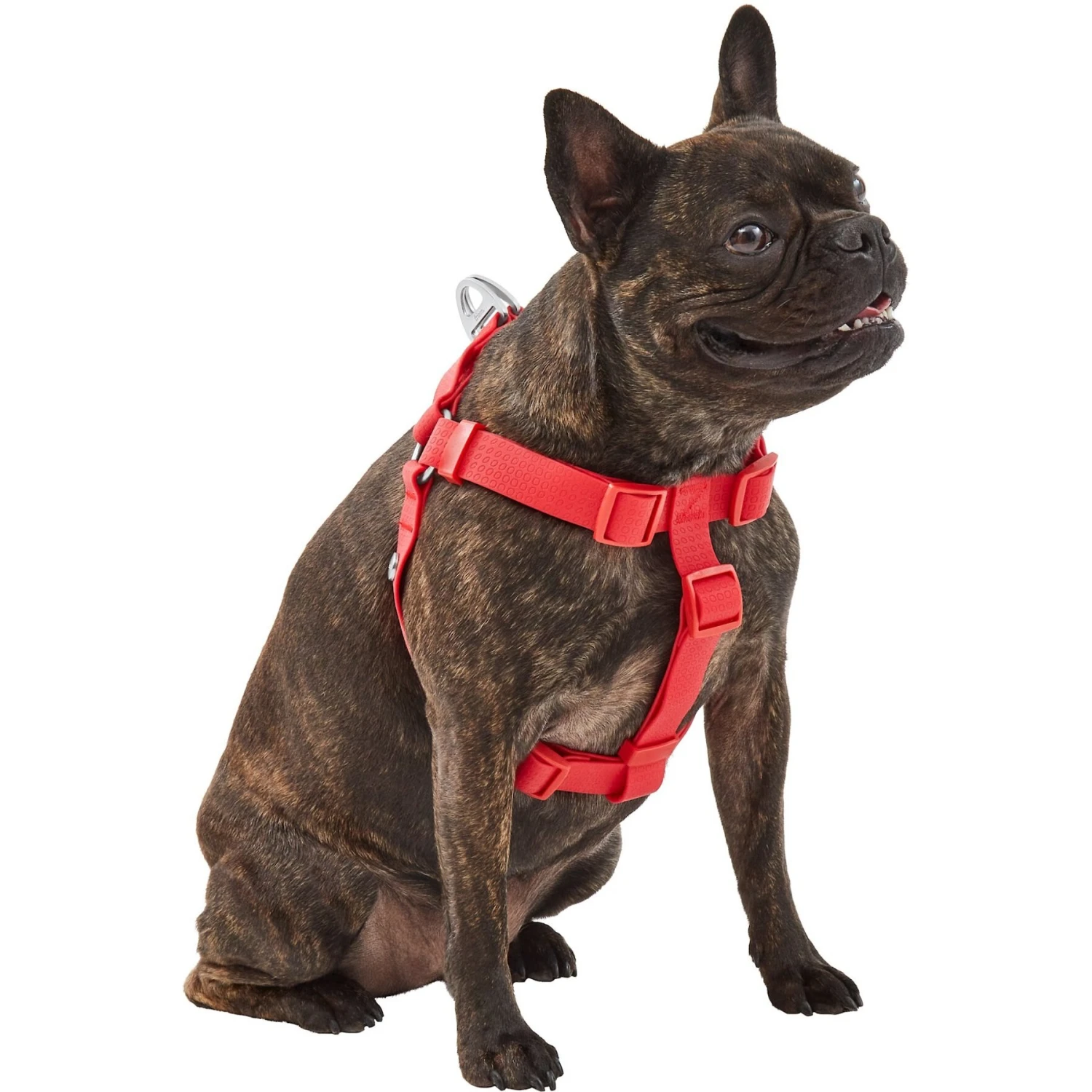 Frisco Outdoor Solid Textured Waterproof Stink Proof PVC Dog Harness 5 Frisco Outdoor Solid Textured Waterproof Stink Proof PVC Dog Harness - Image 3