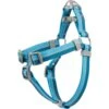 Frisco Outdoor Two Tone Waterproof Stinkproof PVC Dog Harness 2 Frisco Outdoor Two Tone Waterproof Stinkproof PVC Dog Harness -Frisco 256580 MAIN. AC SS1800 V1699629305
