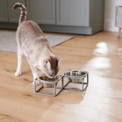 Frisco Elevated Diamond Stainless Steel Double Diner Dog & Cat Bowl 14 Frisco Elevated Diamond Stainless Steel Double Diner Dog & Cat Bowl -Frisco 257147 PT5. AC SS1800 V1615989105
