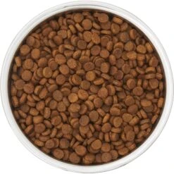 Frisco Insulated Two-Toned Non-Skid Stainless Steel Dog & Cat Bowl 13 Frisco Insulated Two-Toned Non-Skid Stainless Steel Dog & Cat Bowl -Frisco 257168 PT4. AC SS1800 V1612367255