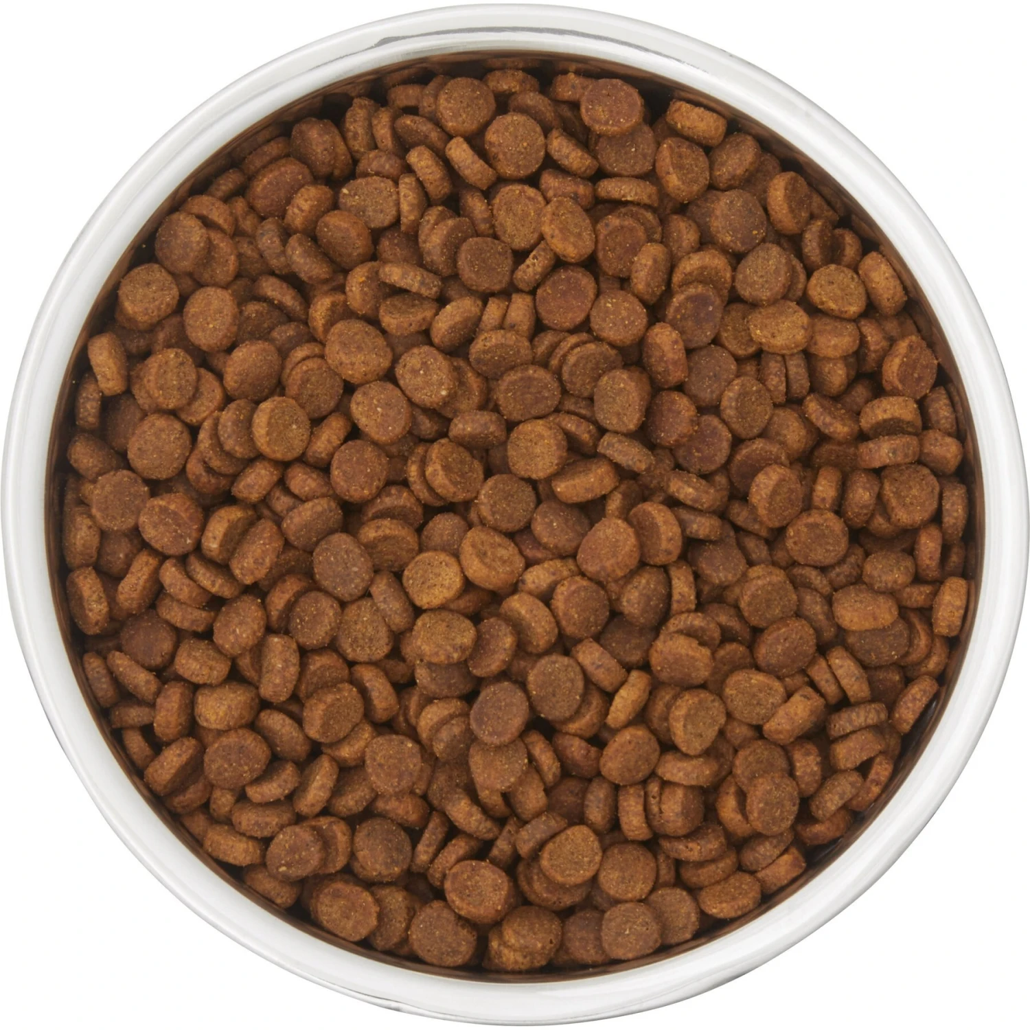 Frisco Insulated Two-Toned Non-Skid Stainless Steel Dog & Cat Bowl 7 Frisco Insulated Two-Toned Non-Skid Stainless Steel Dog & Cat Bowl - Image 5