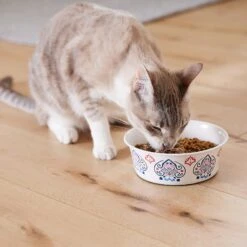Frisco Bohemian Non-Skid Stainless Steel Dog & Cat Bowl -Frisco 257195 PT7. AC SS1800 V1615989147