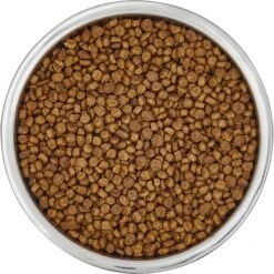 Frisco Insulated Non-Skid Flair Stainless Steel Dog & Cat Bowl 15 Frisco Insulated Non-Skid Flair Stainless Steel Dog & Cat Bowl -Frisco 261753 PT4. AC SS1800 V1623937583