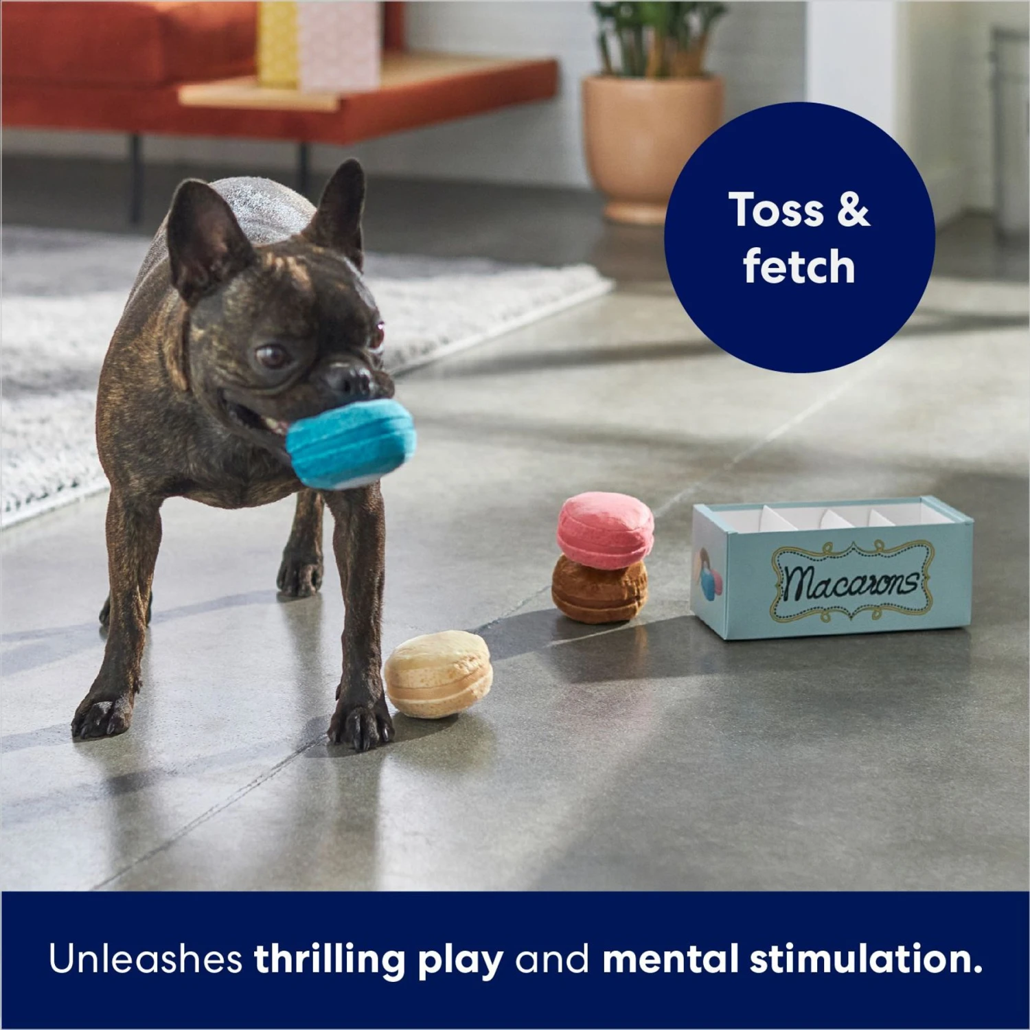 Frisco Macaron Interactive Plush Squeaky Dog Toy 7 Frisco Macaron Interactive Plush Squeaky Dog Toy - Image 5