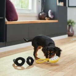 Frisco Magic Pocket Watch & Glasses Plush Squeaky Dog Toy, 2 Count 7 Frisco Magic Pocket Watch & Glasses Plush Squeaky Dog Toy, 2 Count -Frisco 265590 PT3. AC SS1800 V1620938935