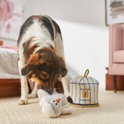 Frisco Magic Owl & Cage 2-in-1 Plush Squeaky Dog Toy 9 Frisco Magic Owl & Cage 2-in-1 Plush Squeaky Dog Toy -Frisco 265592 PT3. AC SS1800 V1620938916