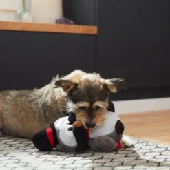 Frisco Magic Owl Plush Squeaky Dog Toy -Frisco 265596 PT3. AC SS1800 V1623352167