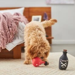 Frisco Magic Potions Latex Squeaky Dog Toy, 2 Count -Frisco 265632 PT3. AC SS1800 V1620939021