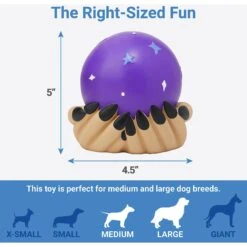 Frisco Magic Fortune Teller's Crystal Ball Latex Squeaky Dog Toy -Frisco 265634 PT1. AC SS1800 V1623351758
