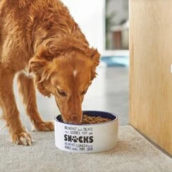 Frisco Food & Paw Non-skid Ceramic Dog Bowl 10 Frisco Food & Paw Non-skid Ceramic Dog Bowl -Frisco 270195 PT2. AC SS1800 V1620762027
