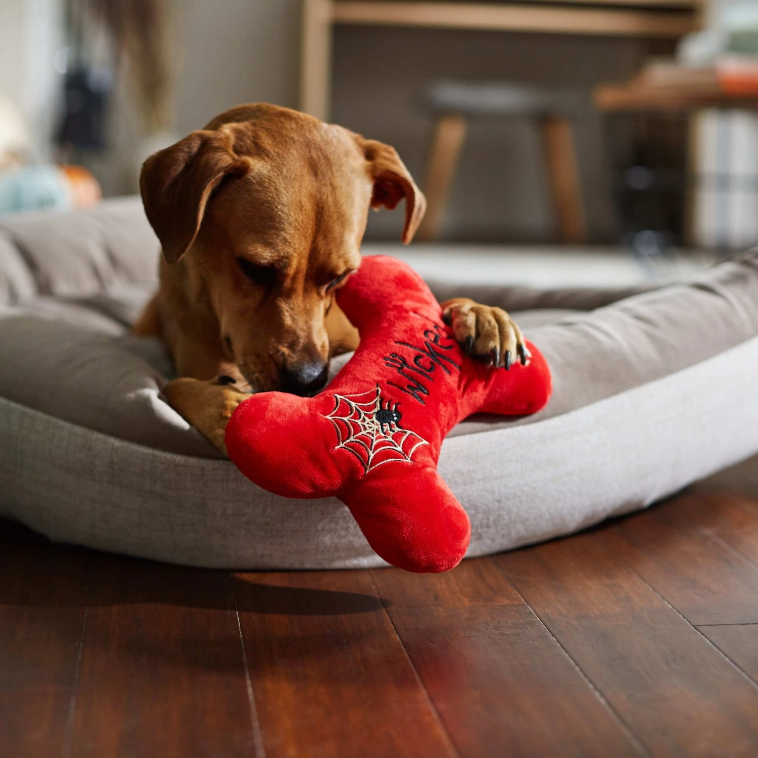 Frisco Halloween Wicked Cute Bone Reversible Plush Squeaky Dog Toy 6 Frisco Halloween Wicked Cute Bone Reversible Plush Squeaky Dog Toy - Image 4