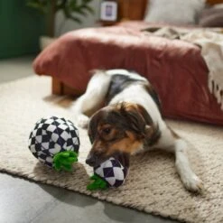 Frisco Halloween Fancy Pumpkin 2-in-1 Plush Squeaky Dog Toy 11 Frisco Halloween Fancy Pumpkin 2-in-1 Plush Squeaky Dog Toy -Frisco 270359 PT3. AC SS1800 V1624817665