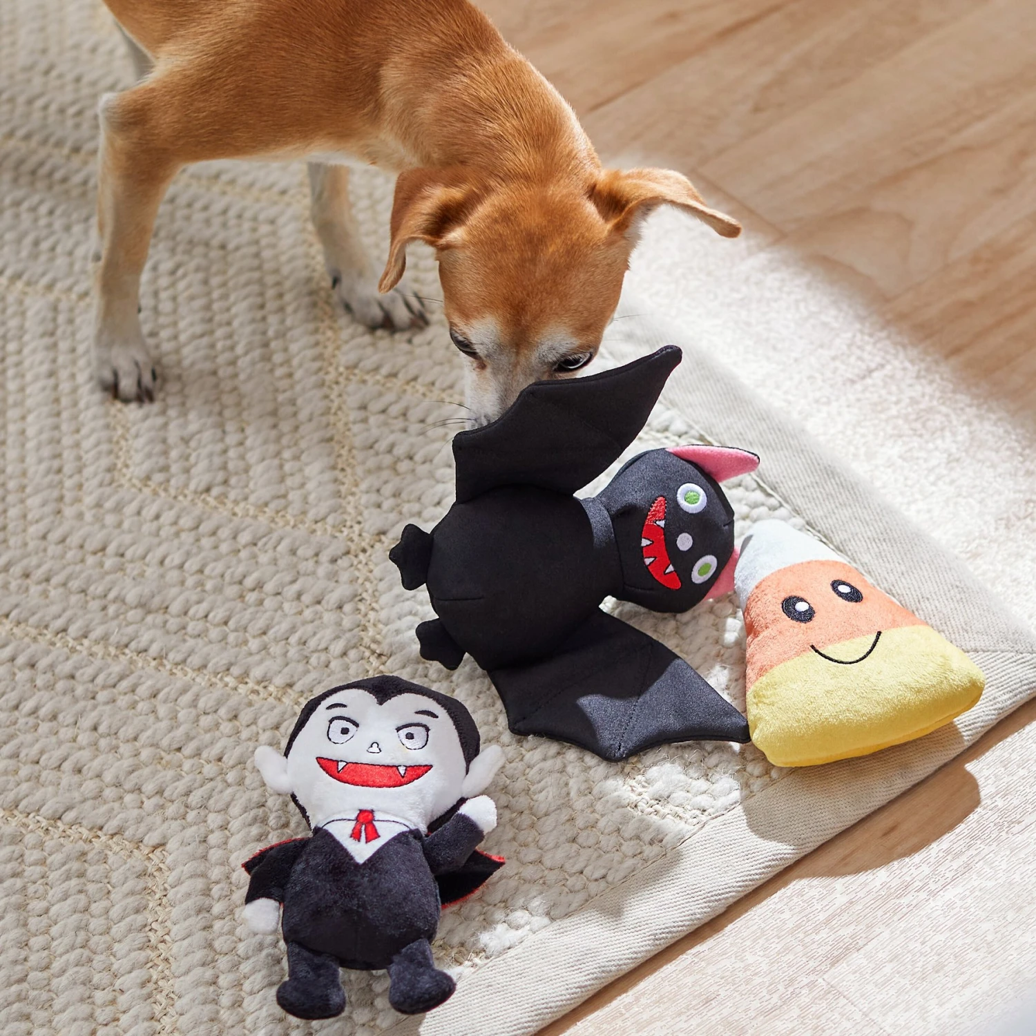 Frisco Halloween Haunted Friends Plush Squeaky Dog Toy 5 Frisco Halloween Haunted Friends Plush Squeaky Dog Toy - Image 3