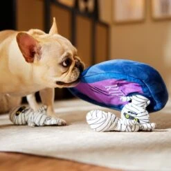 Frisco Halloween Mummy & Coffin Hide & Seek Puzzle Plush Squeaky Dog Toy 11 Frisco Halloween Mummy & Coffin Hide & Seek Puzzle Plush Squeaky Dog Toy -Frisco 270365 PT3. AC SS1800 V1624817620
