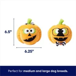 Frisco Halloween Nerdy Jack-o-Lanterns Plush Squeaky Dog Toy -Frisco 270431 PT1. AC SS1800 V1689873074