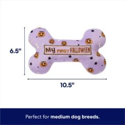 Frisco Halloween My First Halloween Bone Reversible Plush Squeaky Dog Toy -Frisco 270452 PT1. AC SS1800 V1689878050