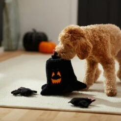 Frisco Halloween Haunted Tree Hide & Seek Puzzle Plush Squeaky Dog Toy 11 Frisco Halloween Haunted Tree Hide & Seek Puzzle Plush Squeaky Dog Toy -Frisco 270488 PT3. AC SS1800 V1624817078