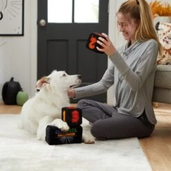 Frisco Halloween 30 Days Of Halloween Countdown Blocks Plush Squeaky Dog Toy 9 Frisco Halloween 30 Days Of Halloween Countdown Blocks Plush Squeaky Dog Toy -Frisco 270494 PT3. AC SS1800 V1624817483