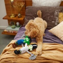 Frisco Halloween Frankenstein & Bride Plush With Rope Squeaky Dog Toy 9 Frisco Halloween Frankenstein & Bride Plush With Rope Squeaky Dog Toy -Frisco 270496 PT3. AC SS1800 V1624824775