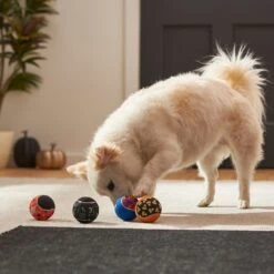 Frisco Halloween Glow In The Dark Fetch Squeaky Tennis Ball Dog Toy 11 Frisco Halloween Glow In The Dark Fetch Squeaky Tennis Ball Dog Toy -Frisco 270525 PT3. AC SS1800 V1624824980