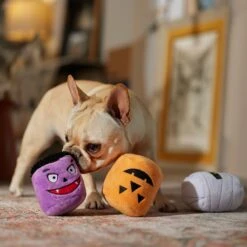 Frisco Halloween Haunted Friends Plush Squeaky Dog Toy, 3 Count 9 Frisco Halloween Haunted Friends Plush Squeaky Dog Toy, 3 Count -Frisco 270533 PT3. AC SS1800 V1689878438